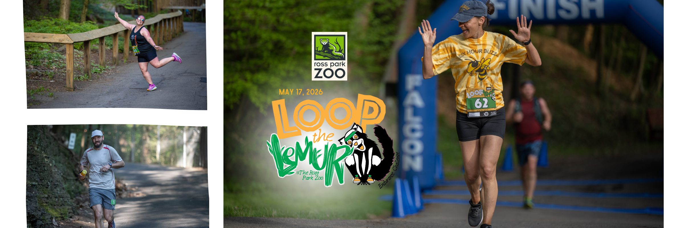 Loop the Lemur at the Ross Park Zoo