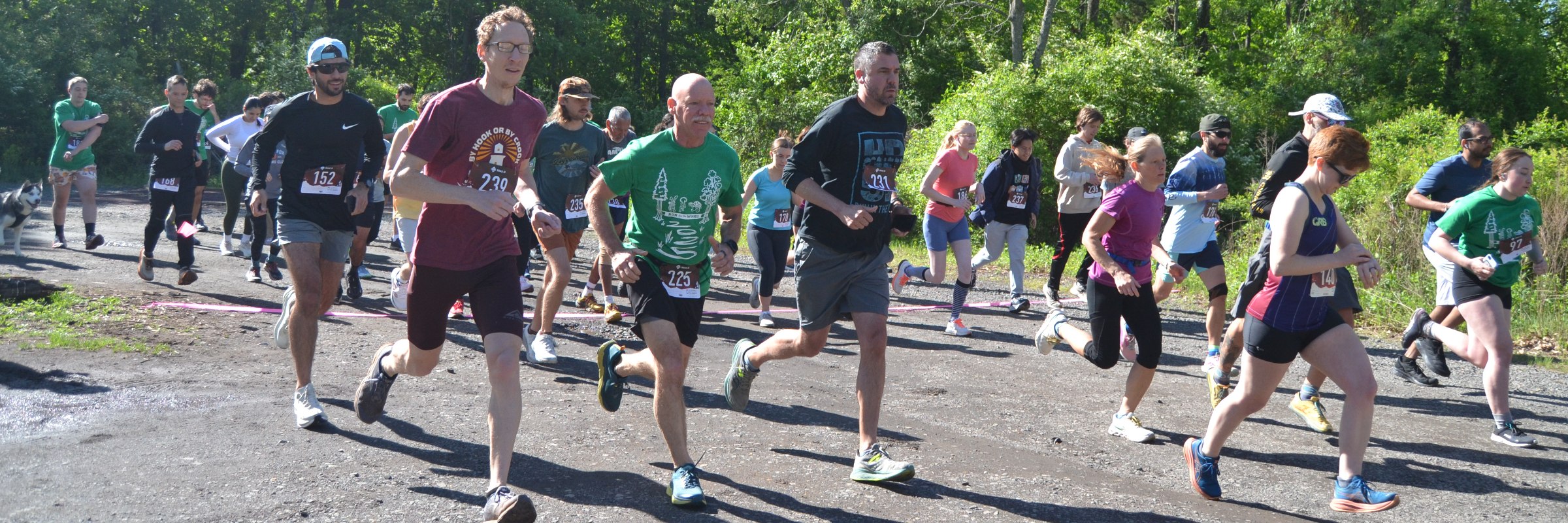Run for the Woods