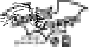 Sodalis Scurry logo