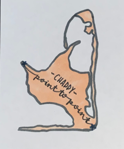 Chappy Point to Point logo