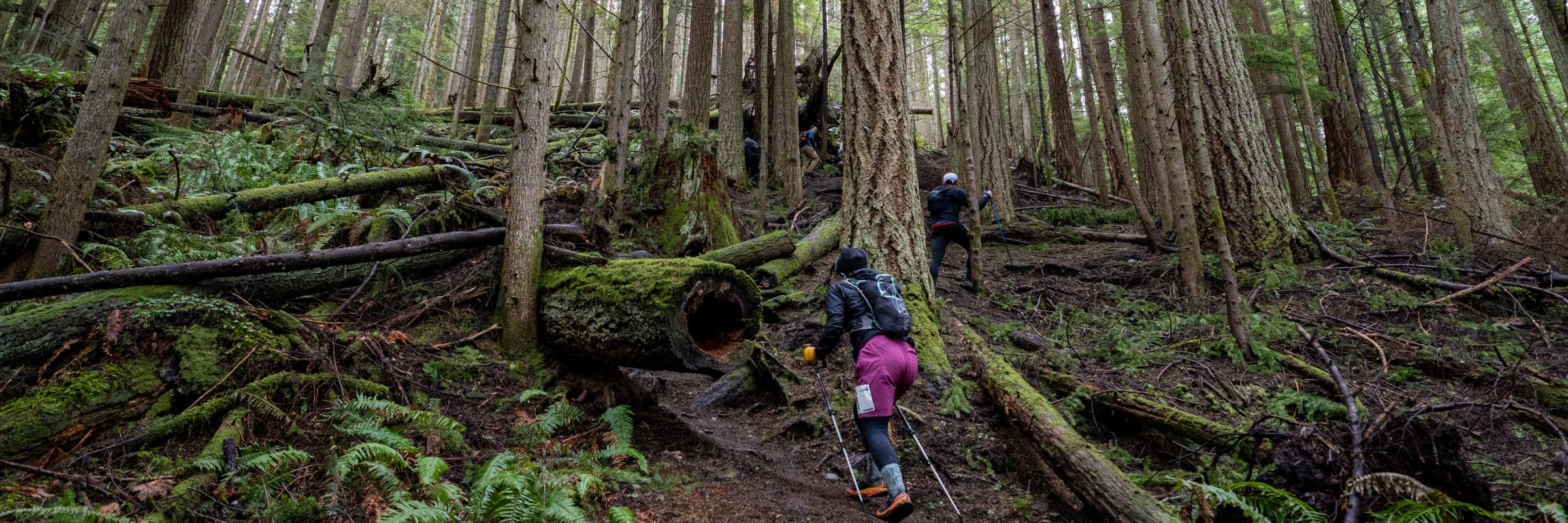 Running Up For Air-Chuckanut Chinscraper