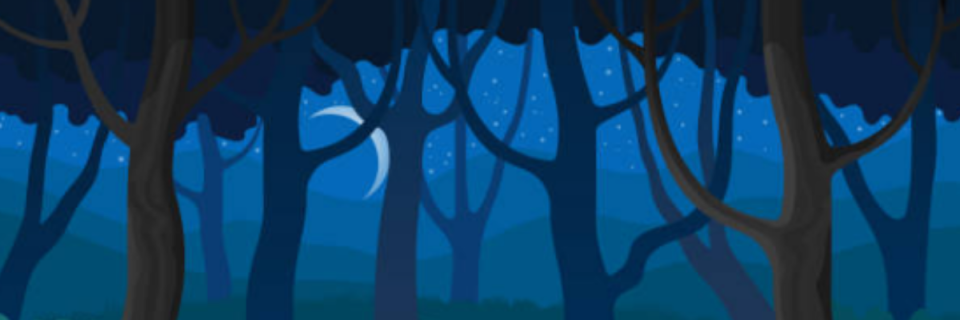 Hot August Night Trail Race