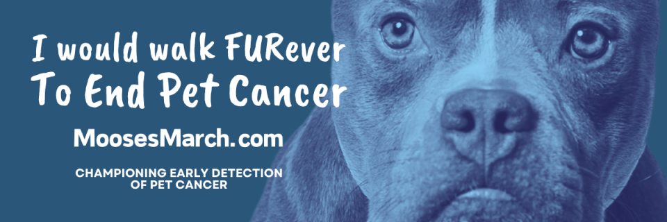 I would walk FURever To End Pet Cancer. A Fun Run/Walk for Moose's March