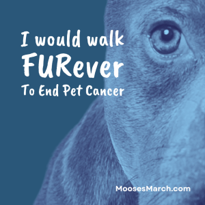 I would walk FURever To End Pet Cancer. A Fun Run/Walk for Moose's March logo