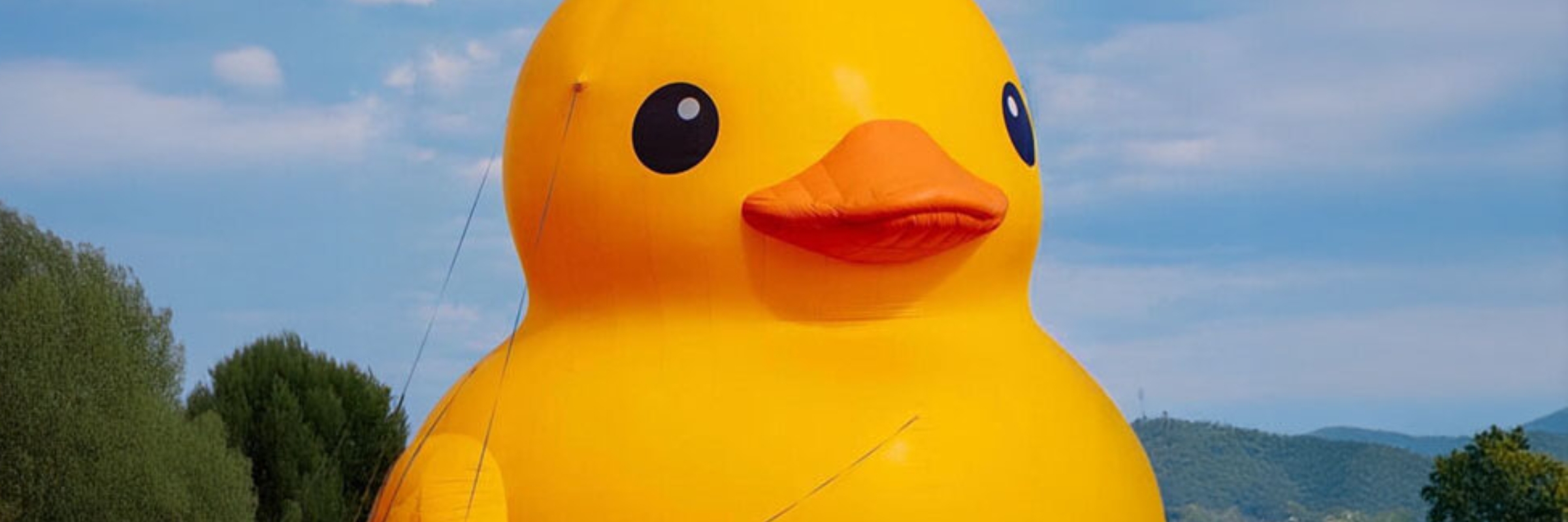 The Peake Run- Our Big Ducking 60th Anniversary Run at the Maryland Seafood Festival