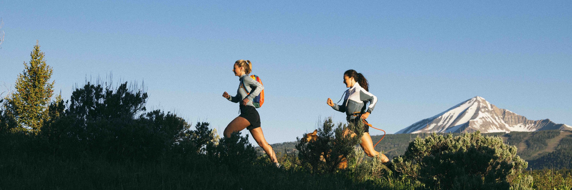 2nd Annual Running of the Bulls Trail Race