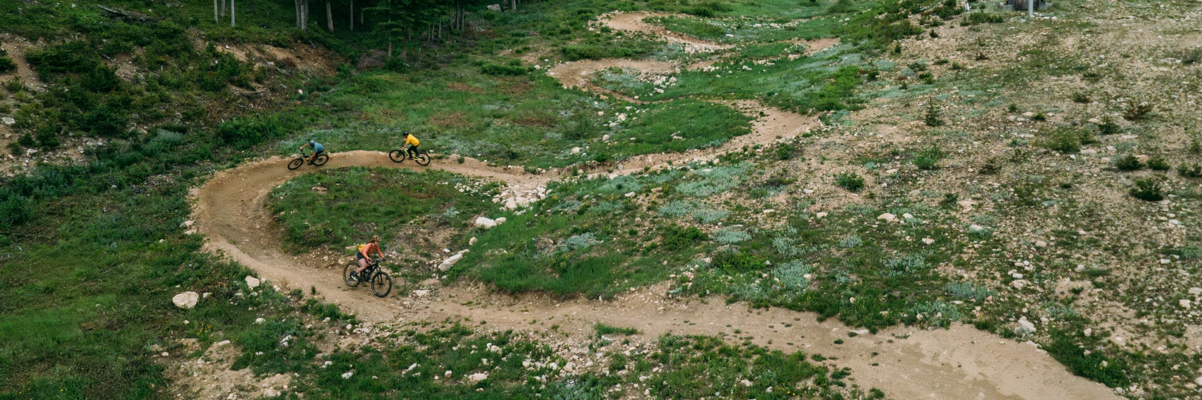 Rough Cut MTB