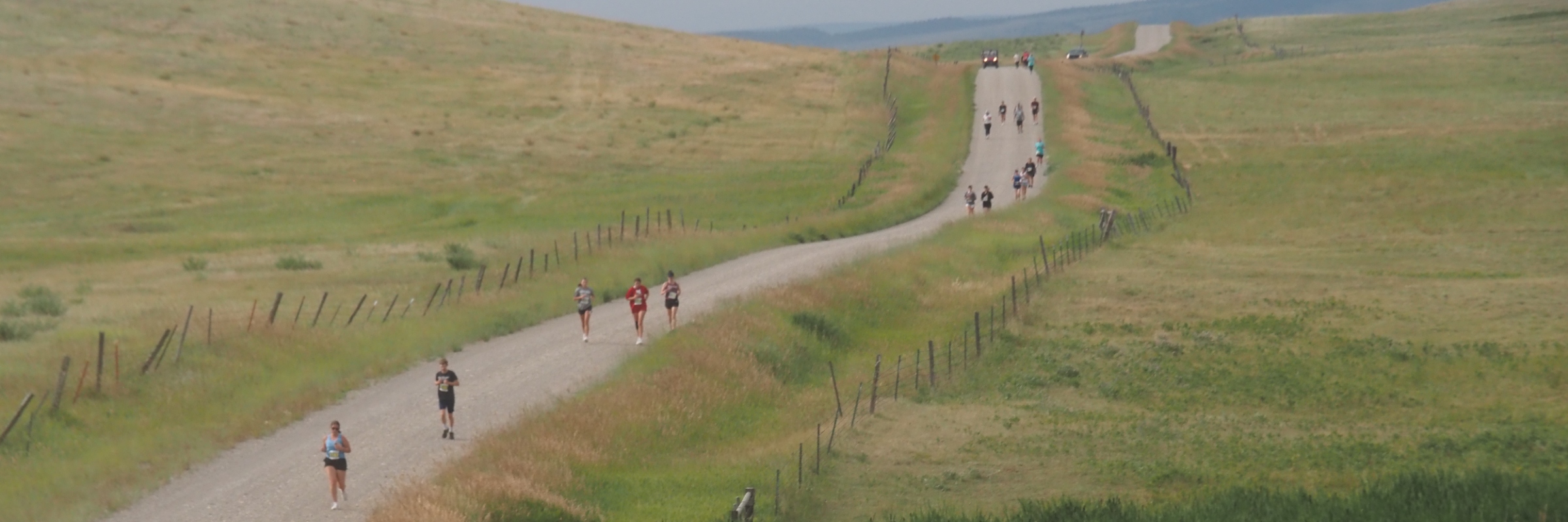 Wolf Run Series - RUNNING WOLF 2026