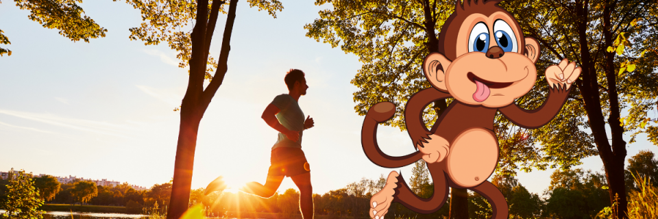 Cheeky Monkey 24