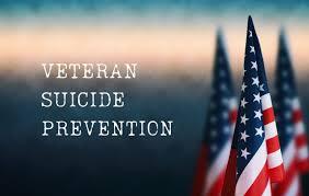Stride For Change: Supporting Our Veterans and Military Families logo