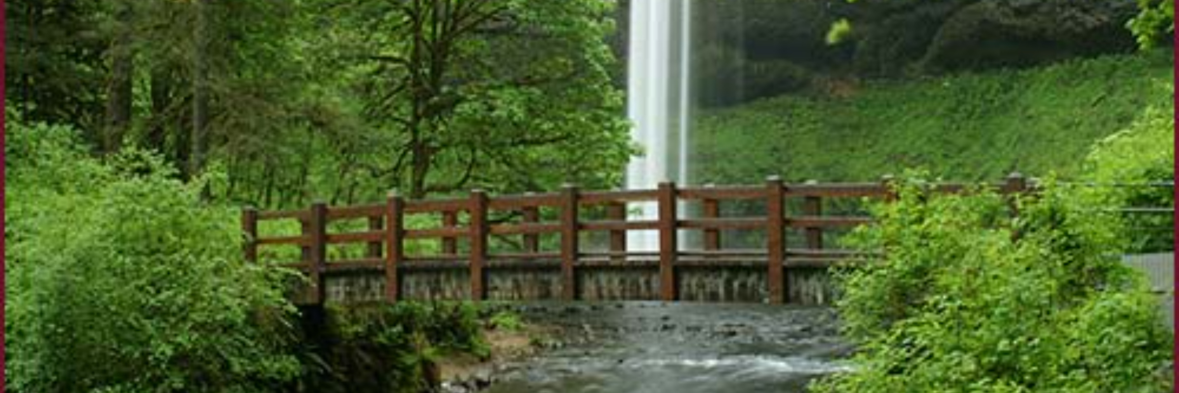 Silver Falls 50K, Marathon & 7 Miler
