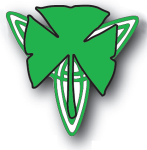 Irish Road Rover 5K logo