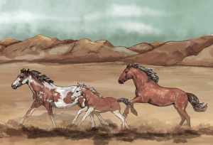 Mustang Discovery Trail 5000 Mile Challenge logo