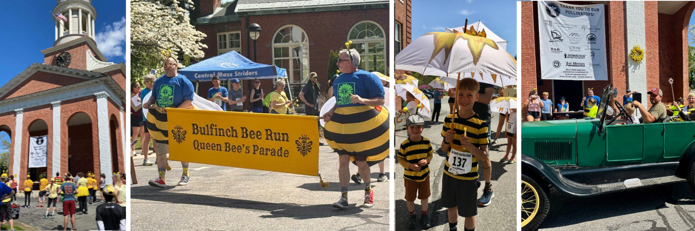 Bulfinch Bee Run