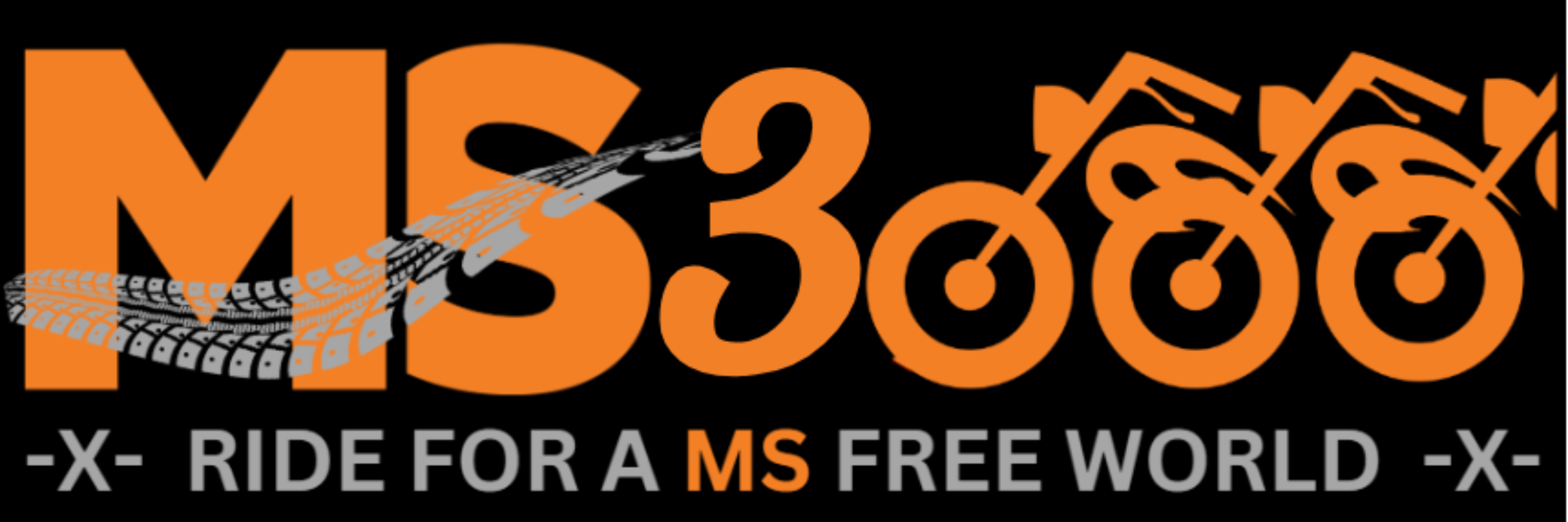 MS 3000