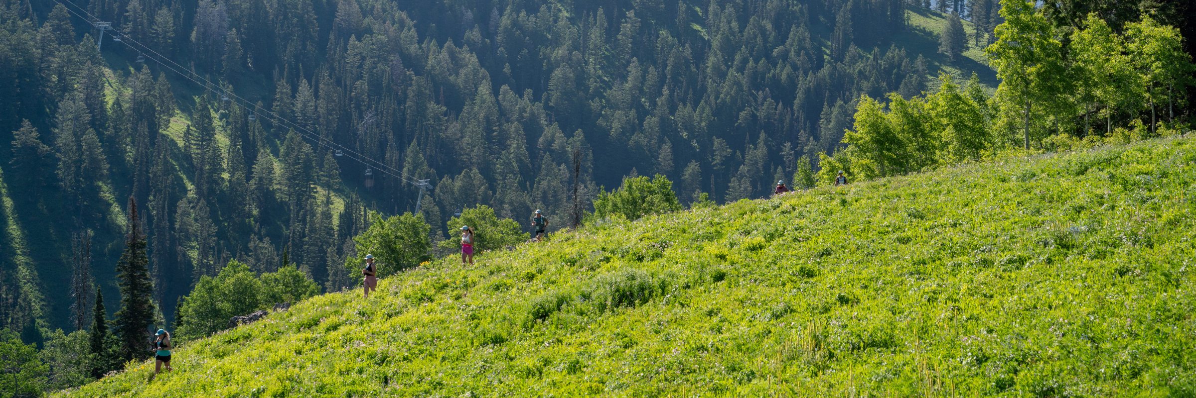 Grand Targhee Wildflower Run