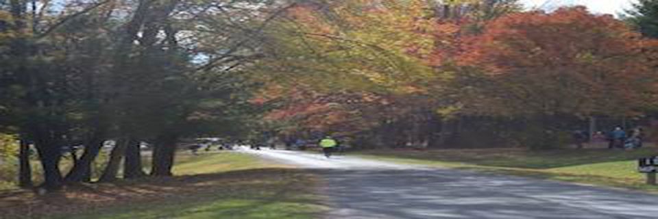 The 55th Annual Switchback Scamper