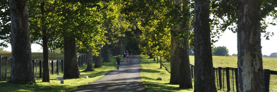 Second Stride 5K and 2.5K Run/Walk at Claiborne Farm