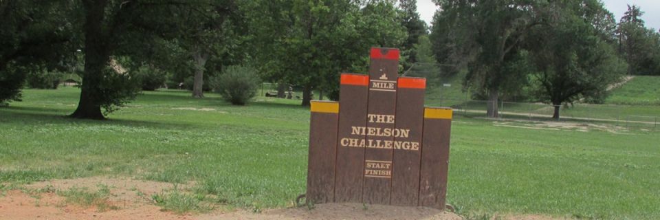 Nielson Challenge