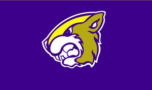 3rd Annual Gopher 5k logo