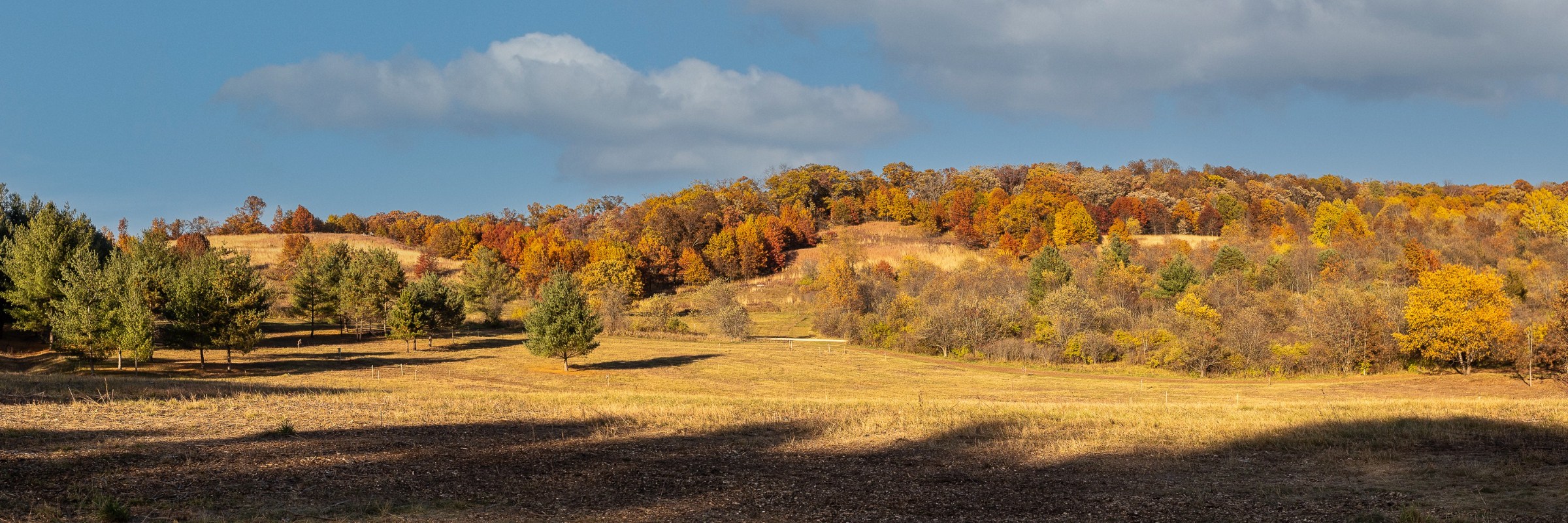 Prairie Dog Trail Run