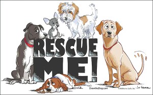 K's For Canines 5K and 3K logo