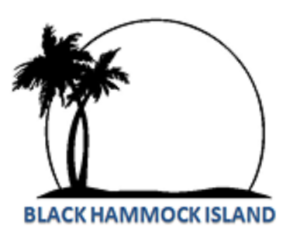 BHI 2nd Annual 5K & Fun Run logo