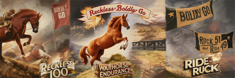 RECKLESS - BOLDLY GO 100