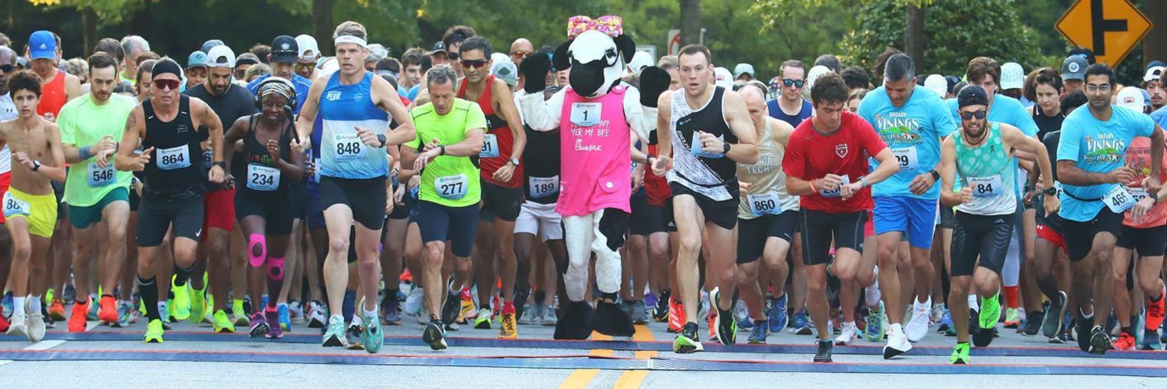 The Vinings Down Hill 5K Run for the Kids