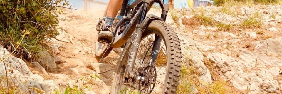 2026 Blondie DH