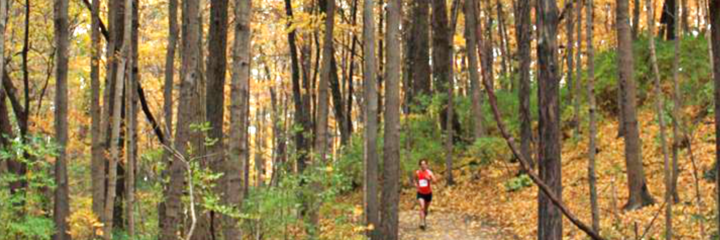 Run The Mounds