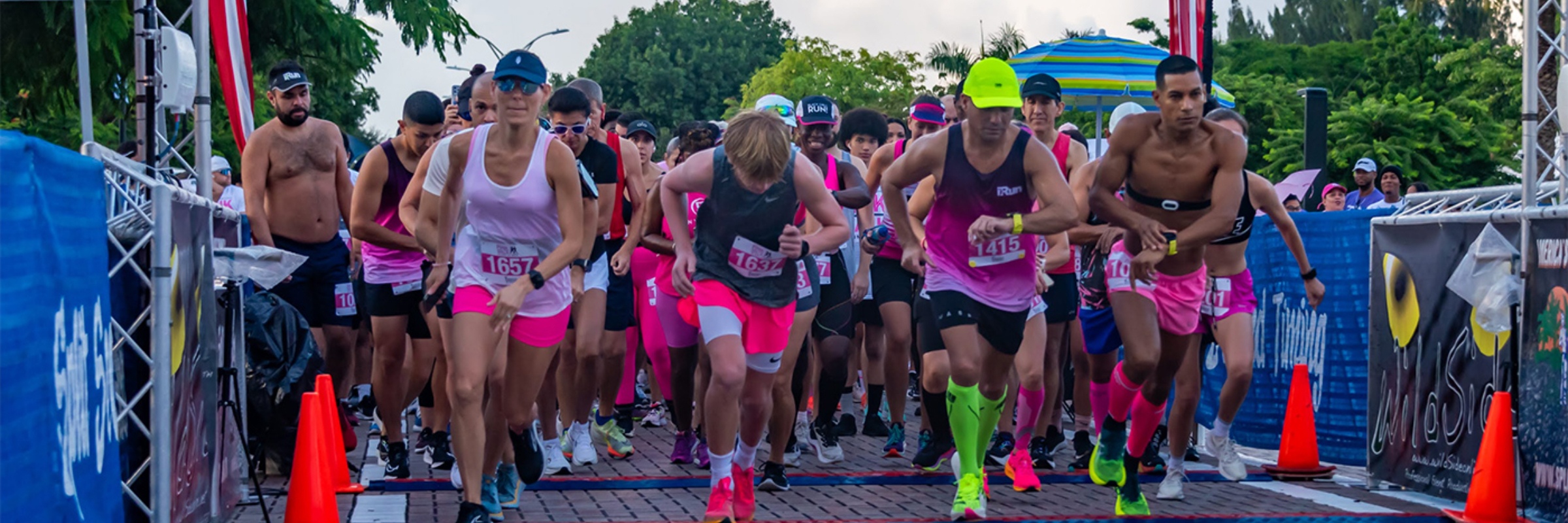 The Pink Walk