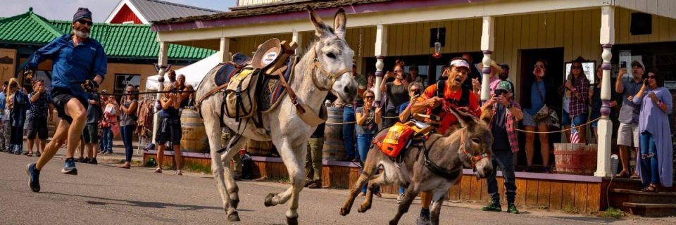 World Championship Pack Burro Race