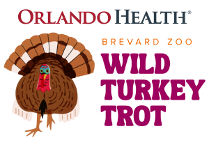 Wild Turkey Trot 3k presented by Orlando Health logo