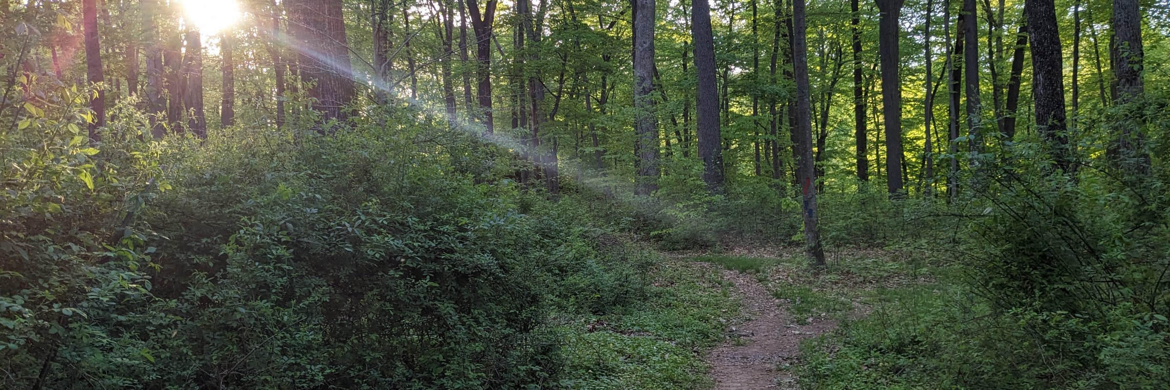 Equinox Trail Run