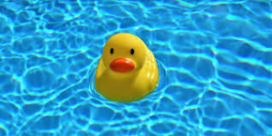 Duck Dash 5k Run / Walk & Kids Race logo