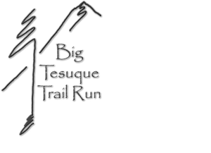 The Big T logo