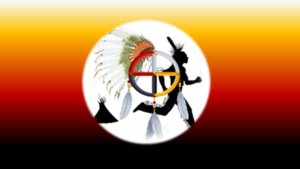 Healthy Tribes Run On The Rims logo