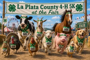 5K at the Fair logo