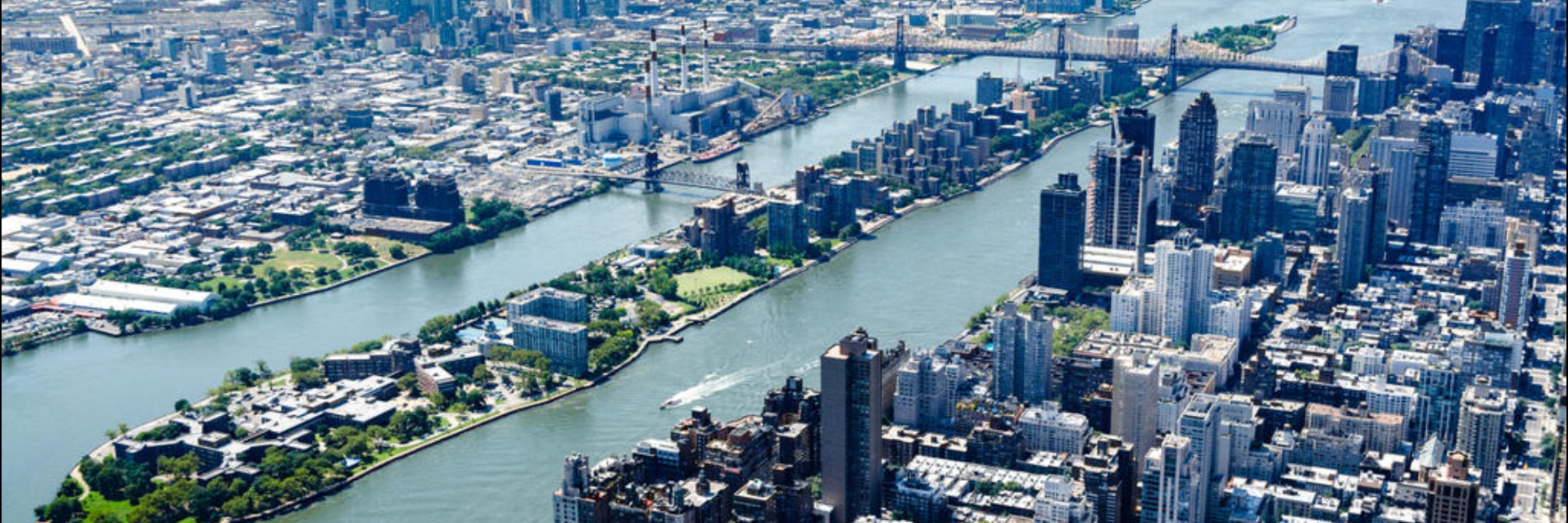 Roosevelt Island Swim