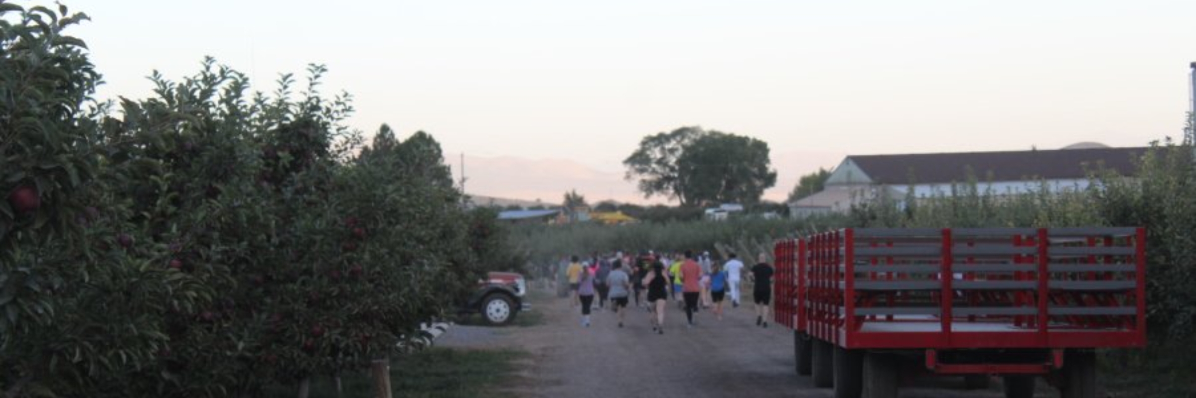 Apple Harvest Run - 10K - 5K - 1 Mile