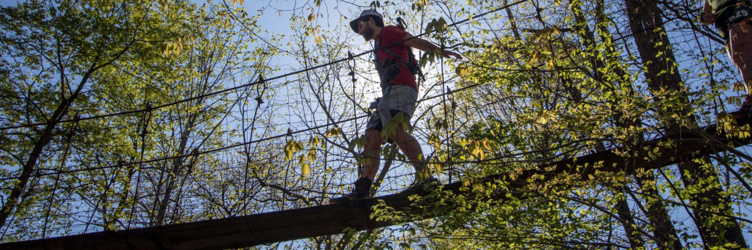 Big Turtle Trail Runs