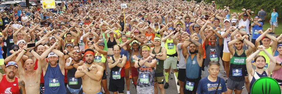 Area 13.1 Half Marathon