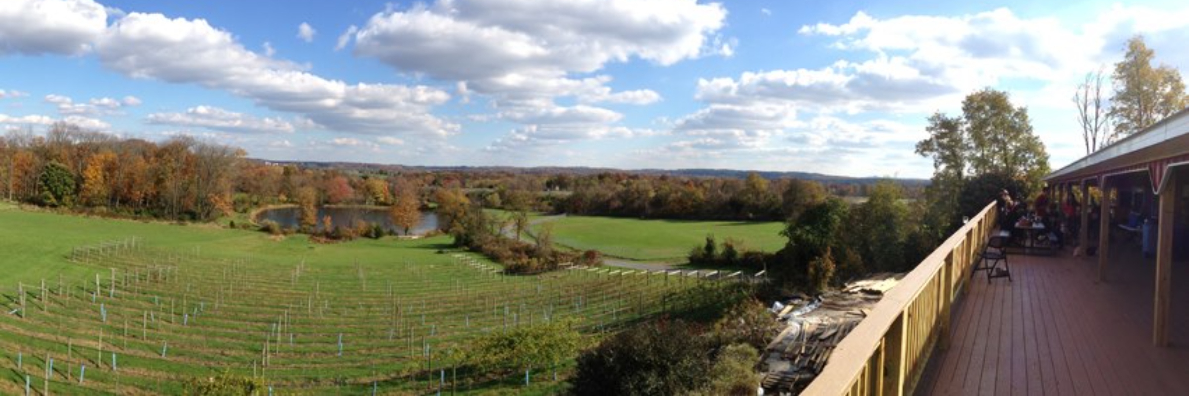 Vineyard at Hershey Haunted Wine Run 5k