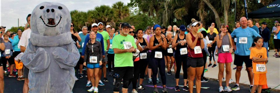 Tampa Electric's Run for the Manatees