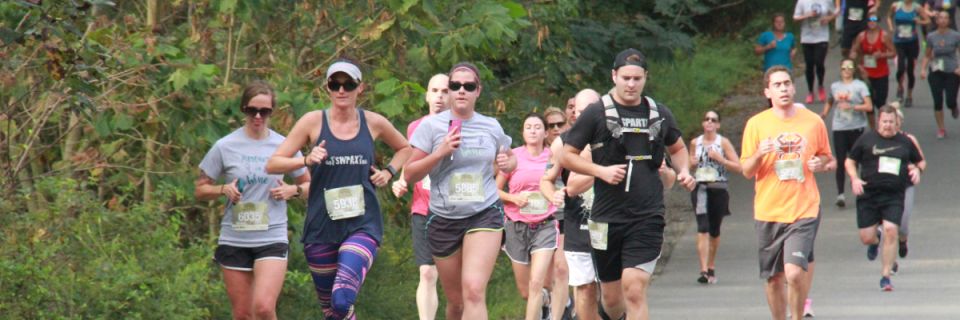 Run the Vineyards - Running Hare Fall 5K