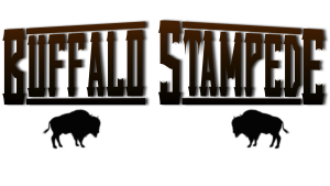 Six Pack Outdoors: Buffalo Stampede logo