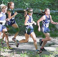 Penn State Abington Invitational logo