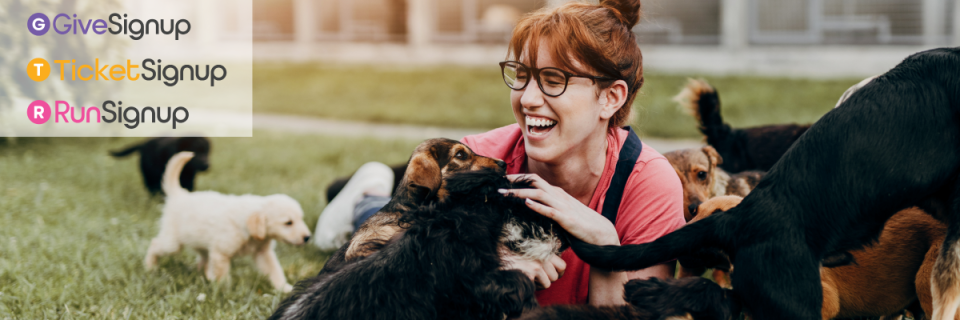Animal Shelters Hub