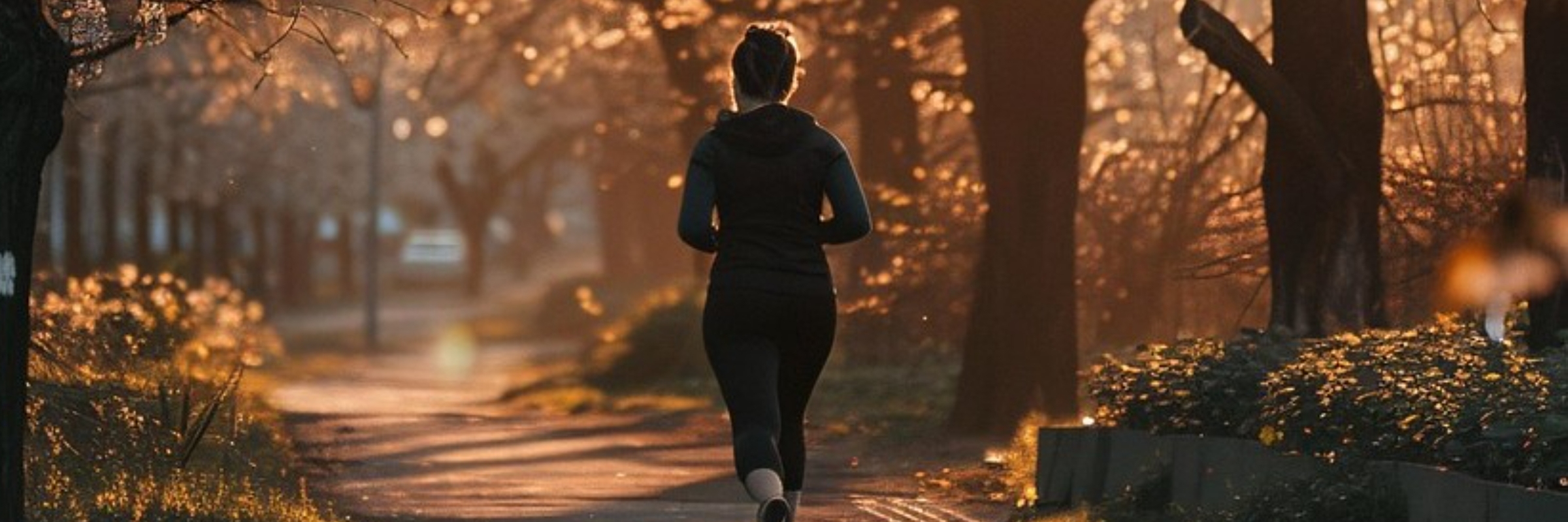 Lancaster Turkey Day 5k/10k